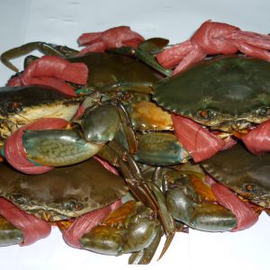 Cua Thịt Cà Mau